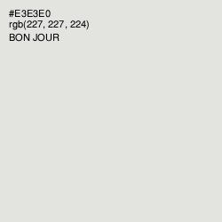 #E3E3E0 - Bon Jour Color Image